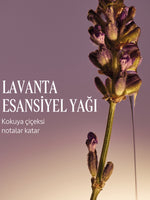 Shea Lavantalı Sabun