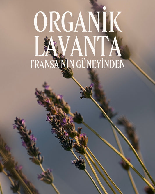 Lavande Shower Gel - Lavanta Duş Jeli
