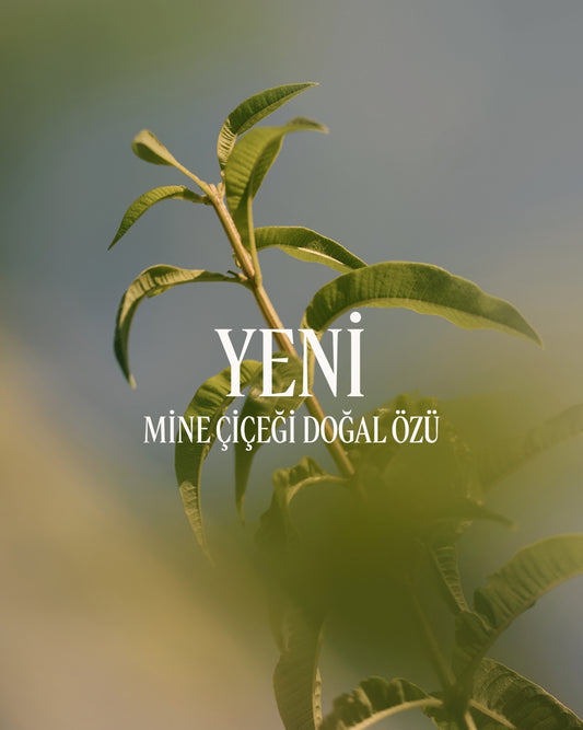 Verveine Shower Gel - Verbena Duş Jeli Eko-Yedek