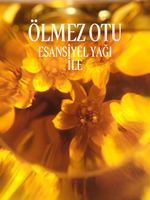 Immortelle Vitalité Canlandırıcı Şampuan
