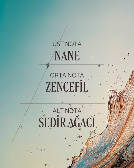 Cèdre Gingembre (Cap Cédrat) Eau de Toilette - Cèdre Gingembre EDT Parfüm