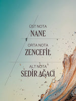 Cèdre Gingembre (Cap Cédrat) Eau de Toilette - Cèdre Gingembre EDT Parfüm