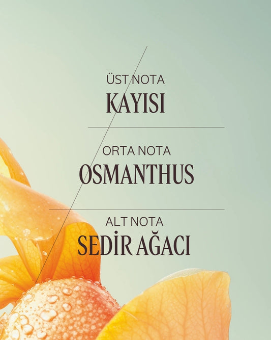 Osmanthus Abricot Eau de Toilette - Osmanthus Abricot EDT Parfüm