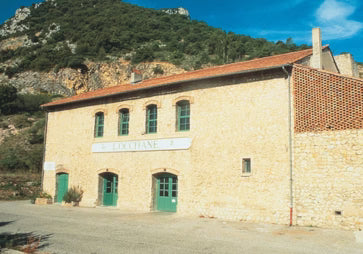 Image-text-2