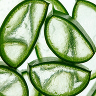 Aloe Vera Özü
