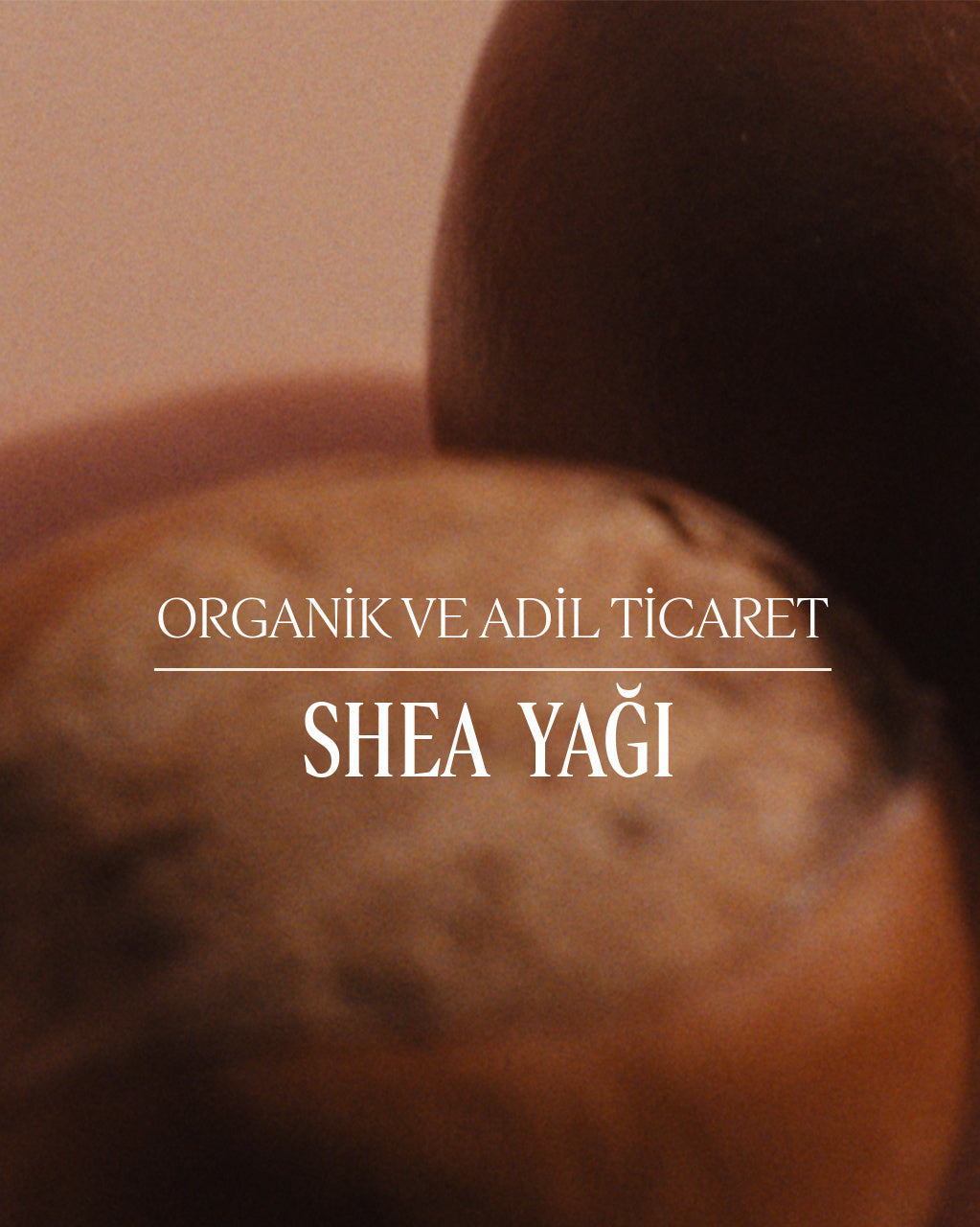 Organik Shea Yağı