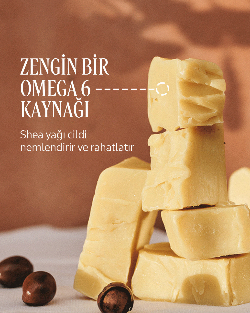 Shea Nemlendirici Yüz Kremi