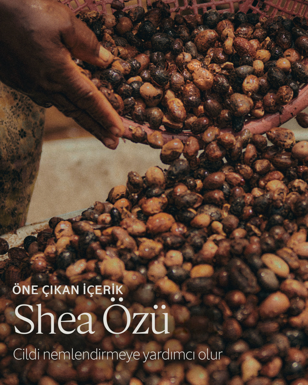 Shea Yüz Temizleme Kremi