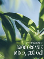 Shea Verbena El Losyonu