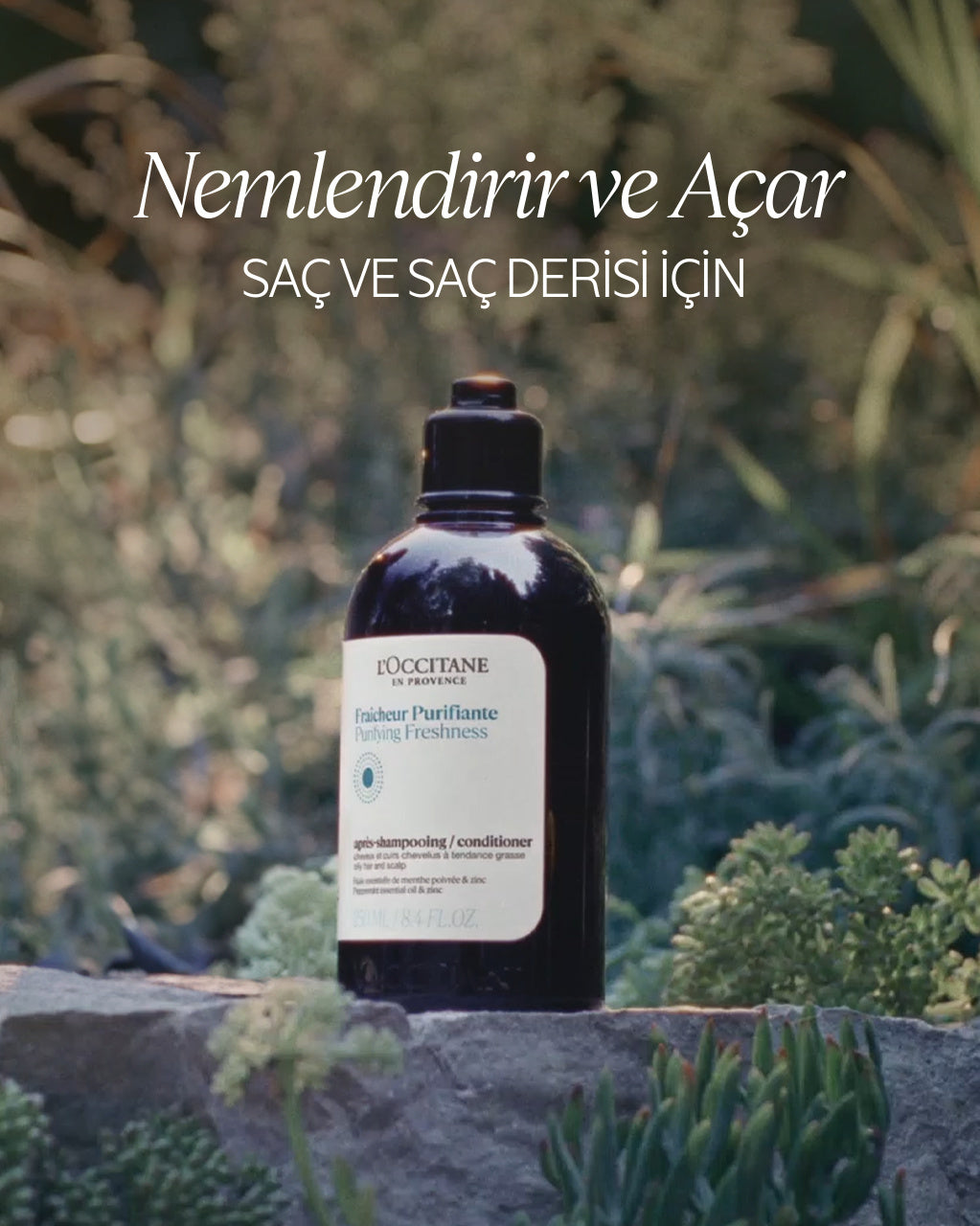 Arındırıcı ve Canlandırıcı Saç Kremi