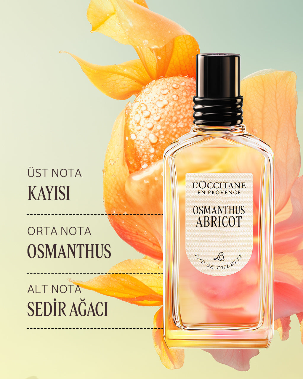 Osmanthus Abricot EDT Parfüm