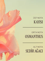Osmanthus Abricot El Kremi