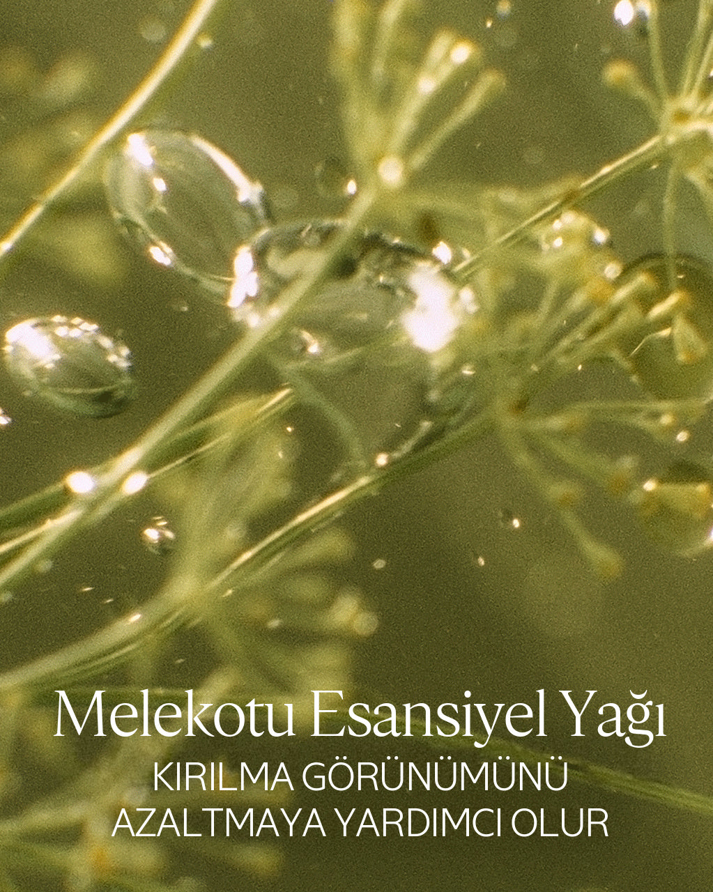 Onarıcı Saç Maskesi