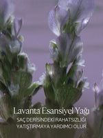 Dengeleyici Şampuan Eko-Yedek