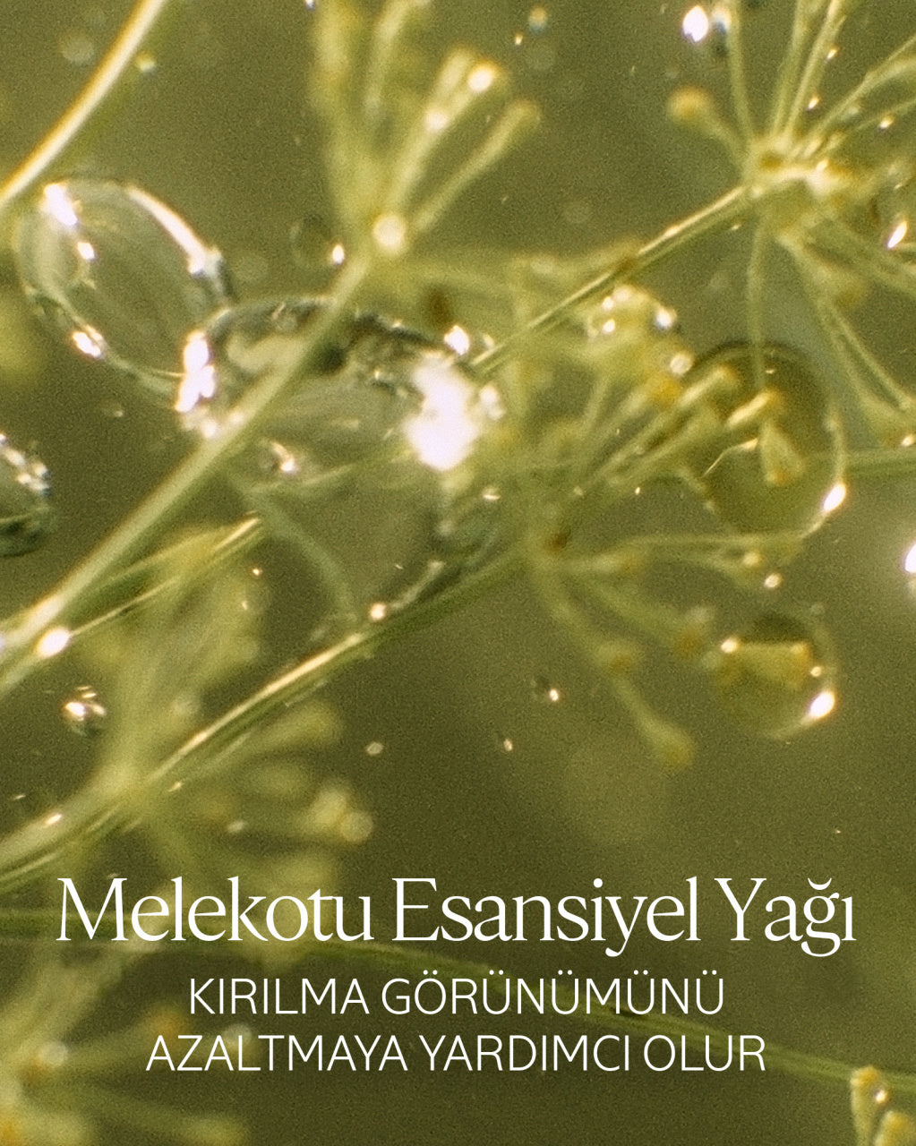 Onarıcı Şampuan