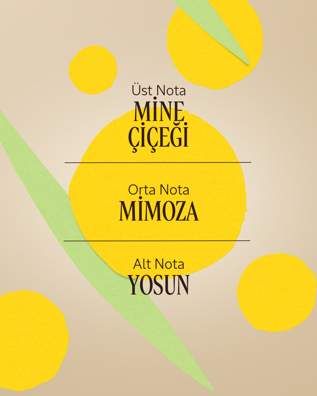Verveine Mimosa (Mimoza Verbena) Özel Seri EDT Parfüm