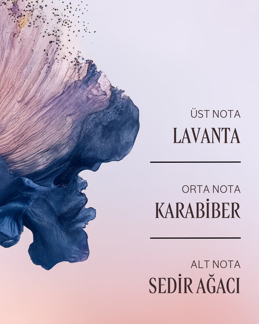 Lavande Poivre Noir (L'Occitan) Tıraş Sonrası Balm