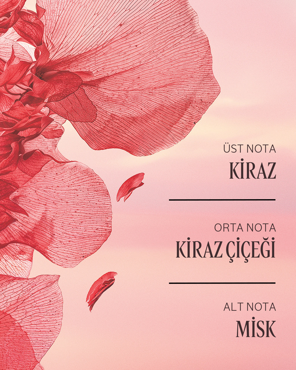 Fleurs de Cerisier (Kiraz Çiçeği) Duş Jeli Eko-Yedek