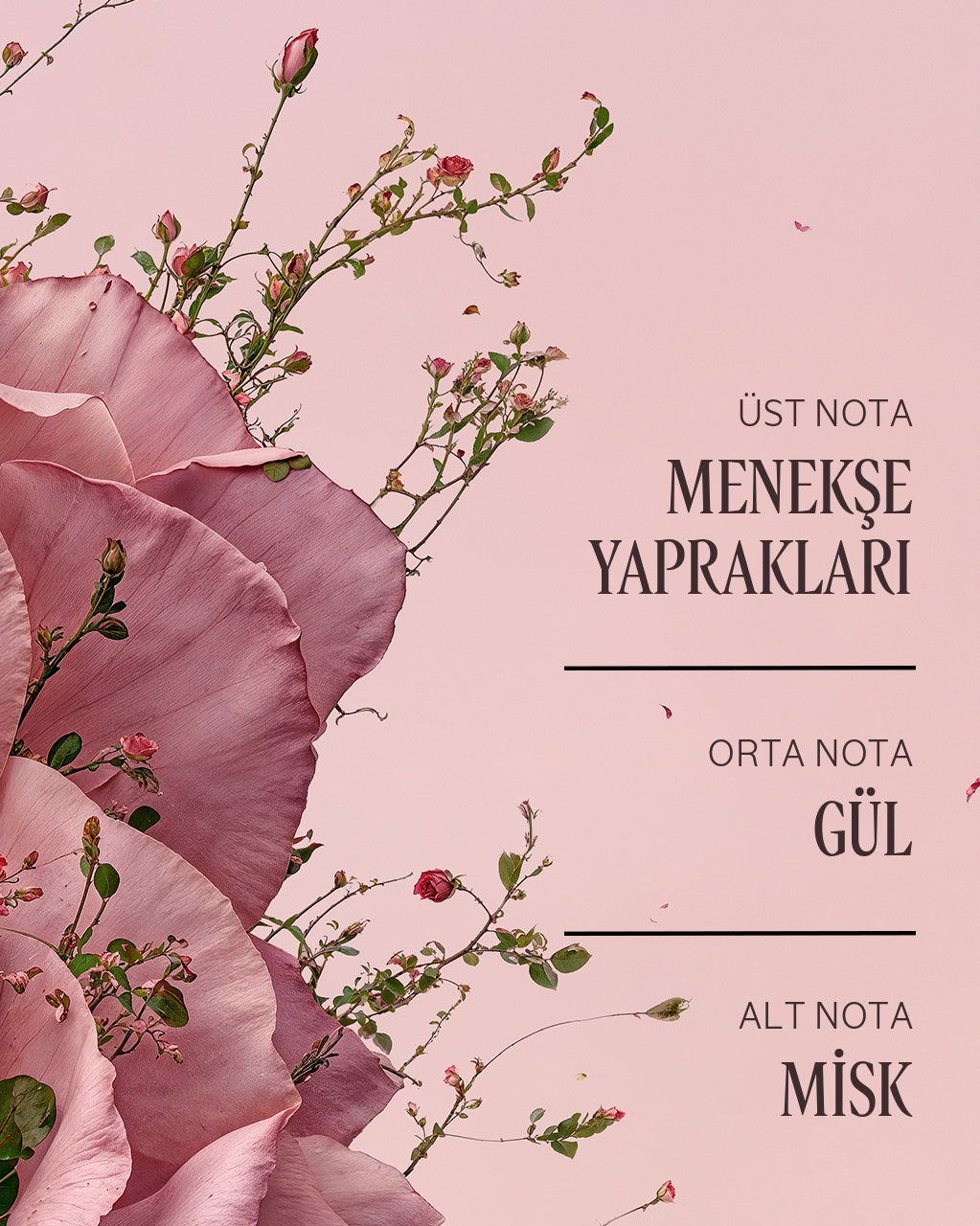 Rose (Gül) El Kremi