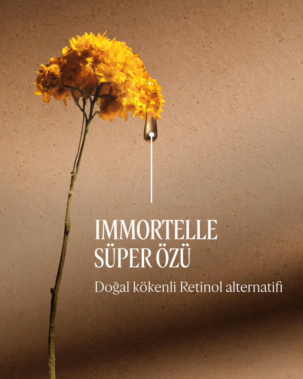 Immortelle Divine Yaşlanma Karşıtı Vücut Yağı