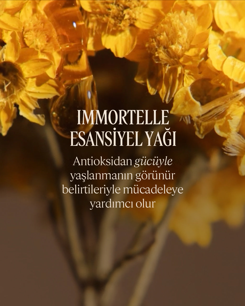 Immortelle Reset Gece Serumu