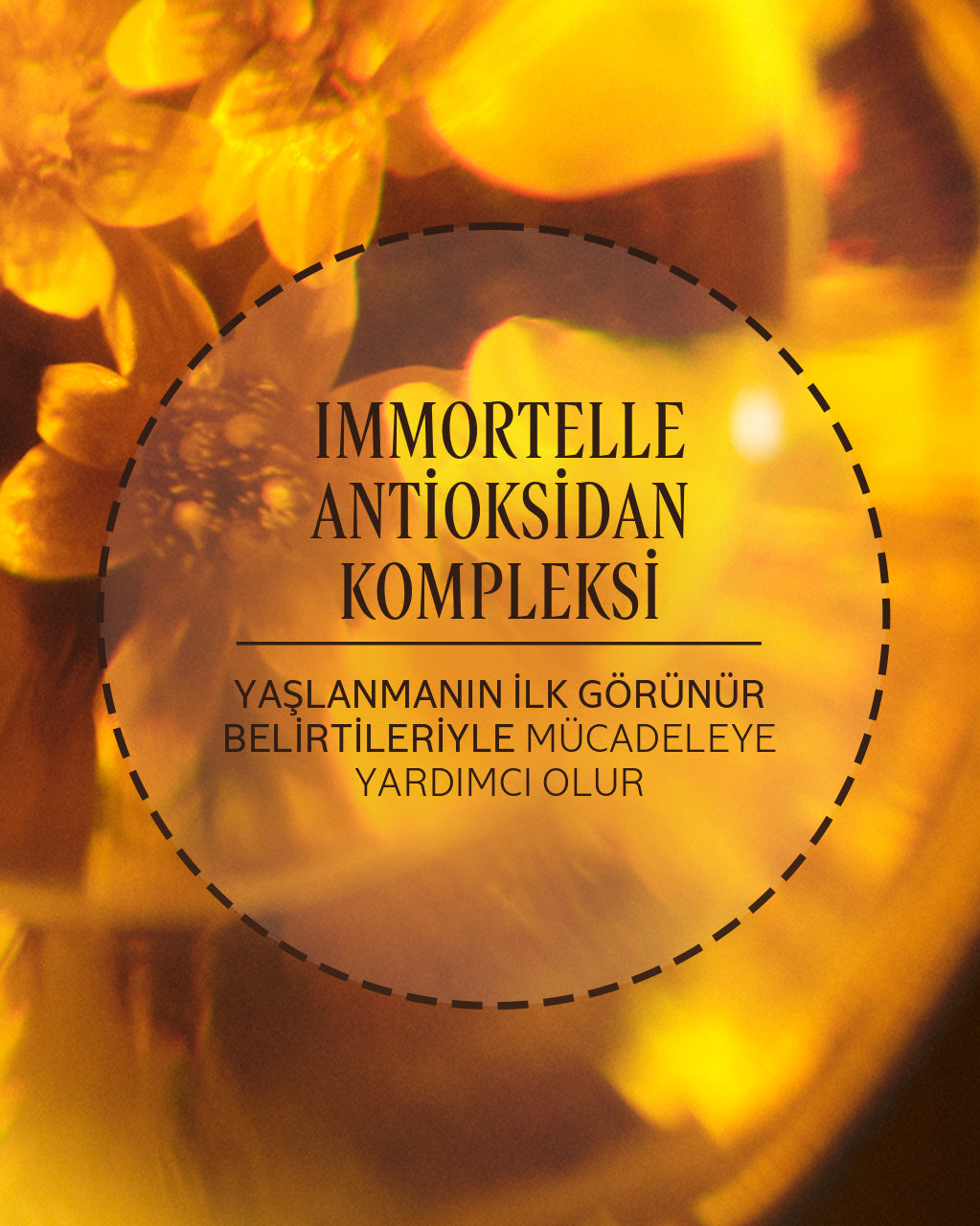 Immortelle Precious Göz Pedleri