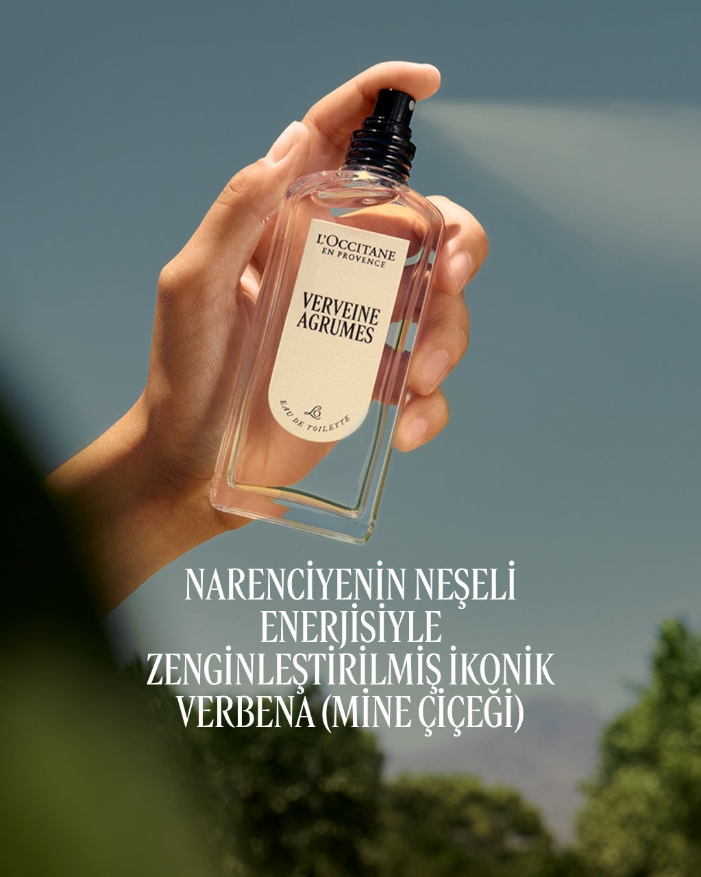 Citrus Verbena Eau de Toilette - Citrus Verbena EDT Parfüm