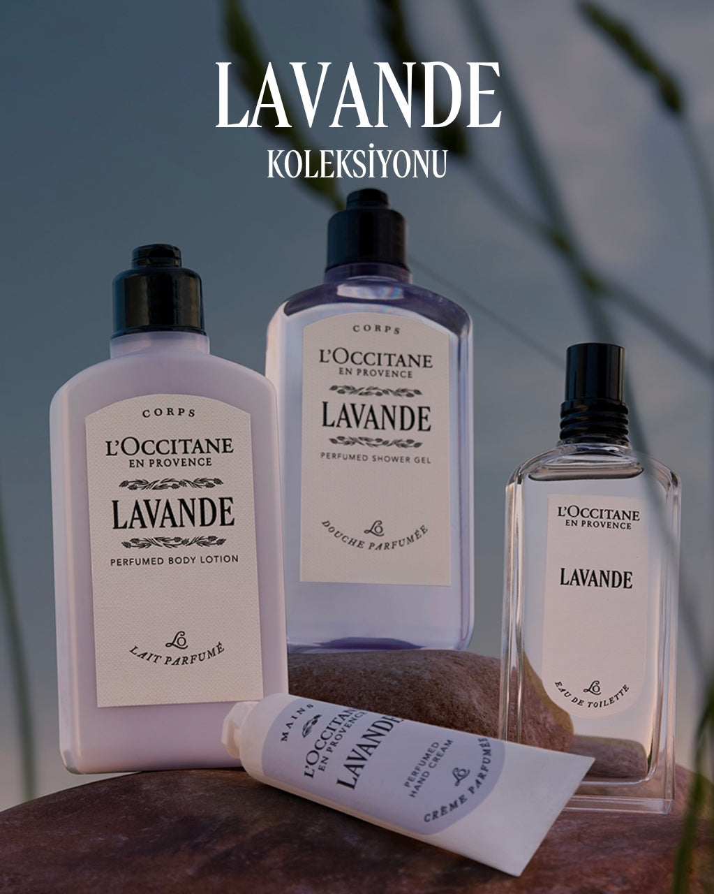 Lavande Parfumed Roll-On - Lavanta Parfümlü Roll-On