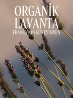 Lavande Body Lotion - Lavanta Vücut Losyonu