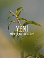Verveine Body Lotion - Verbena Vücut Losyonu