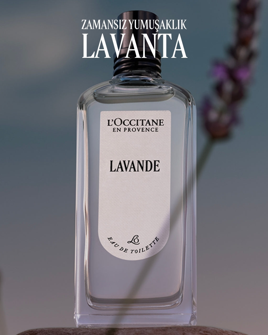 Lavande Eau de Toilette - Lavanta EDT Parfüm