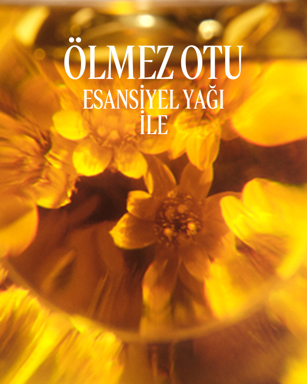 Immortelle Vitalité Canlandırıcı Şampuan