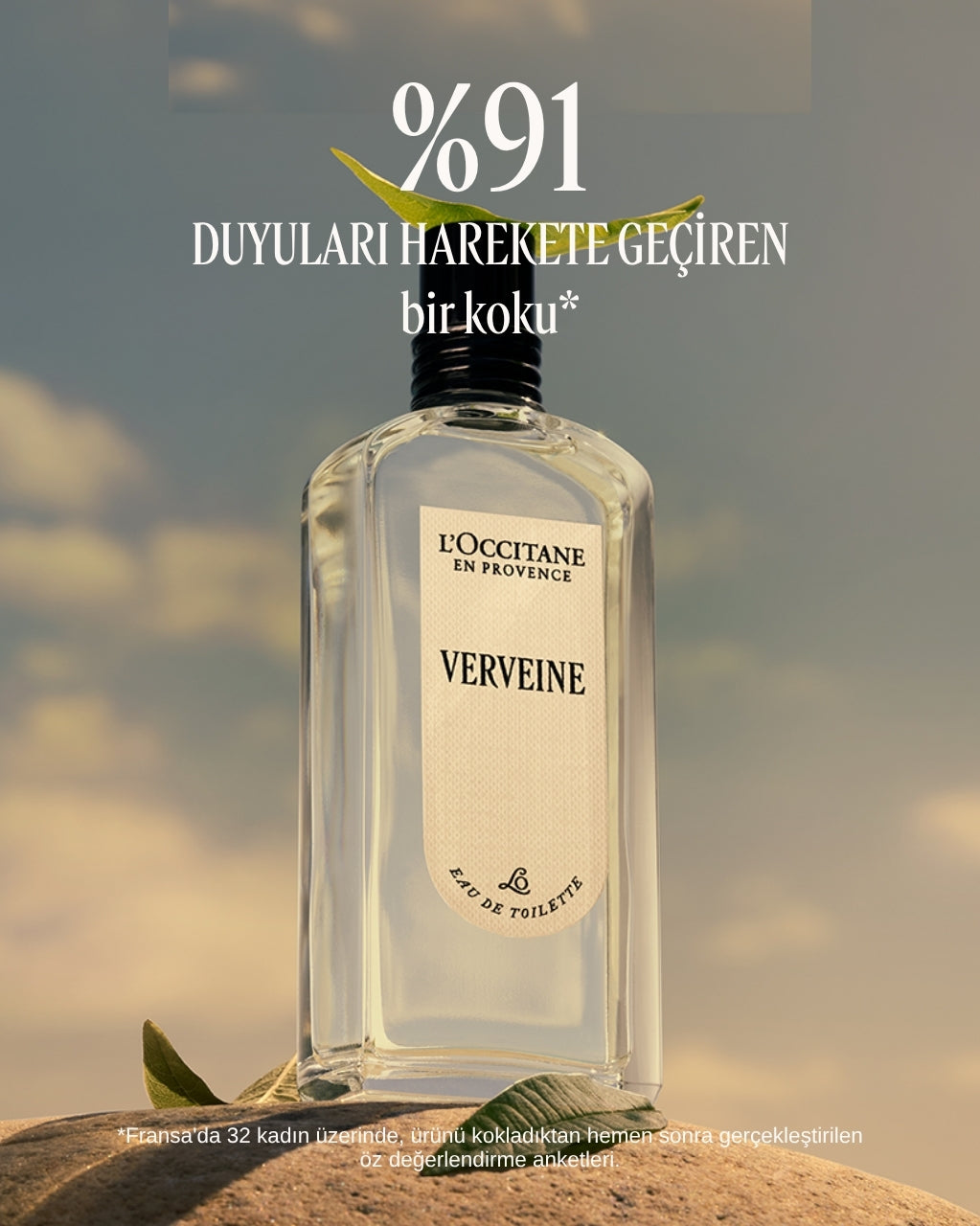 Verbena Eau de Toilette - Verbena EDT Parfüm