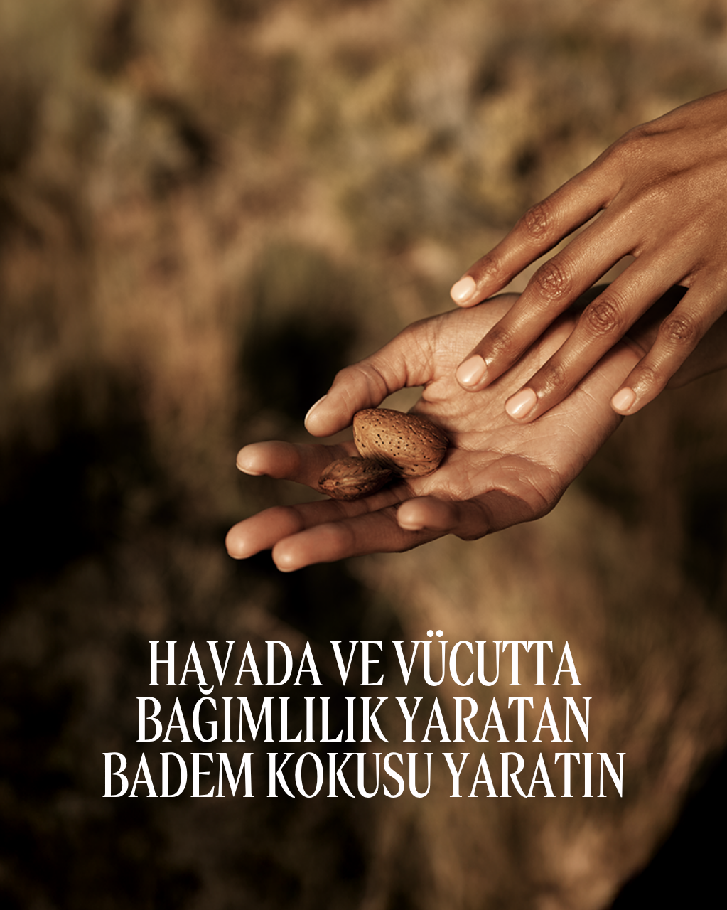 Badem Crème Brûlée Saç & Vücut Misti