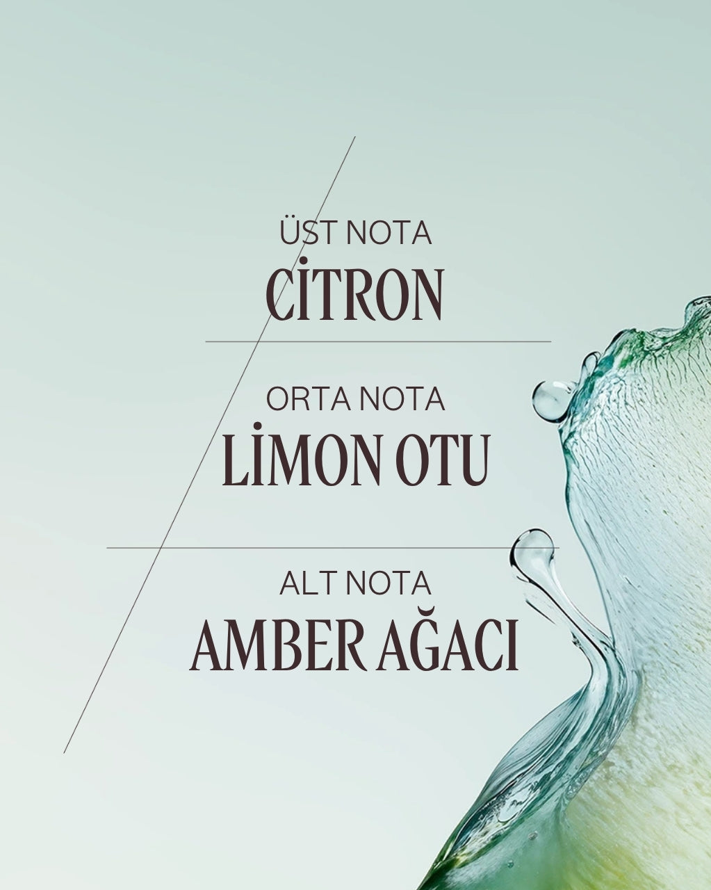 Cédrat Eau de Toilette - Cédrat EDT Parfüm