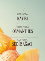 Osmanthus Abricot Eau de Toilette - Osmanthus Abricot EDT Parfüm