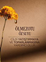 Seyahat Boy Immortelle Reset 3 Fazlı Losyon