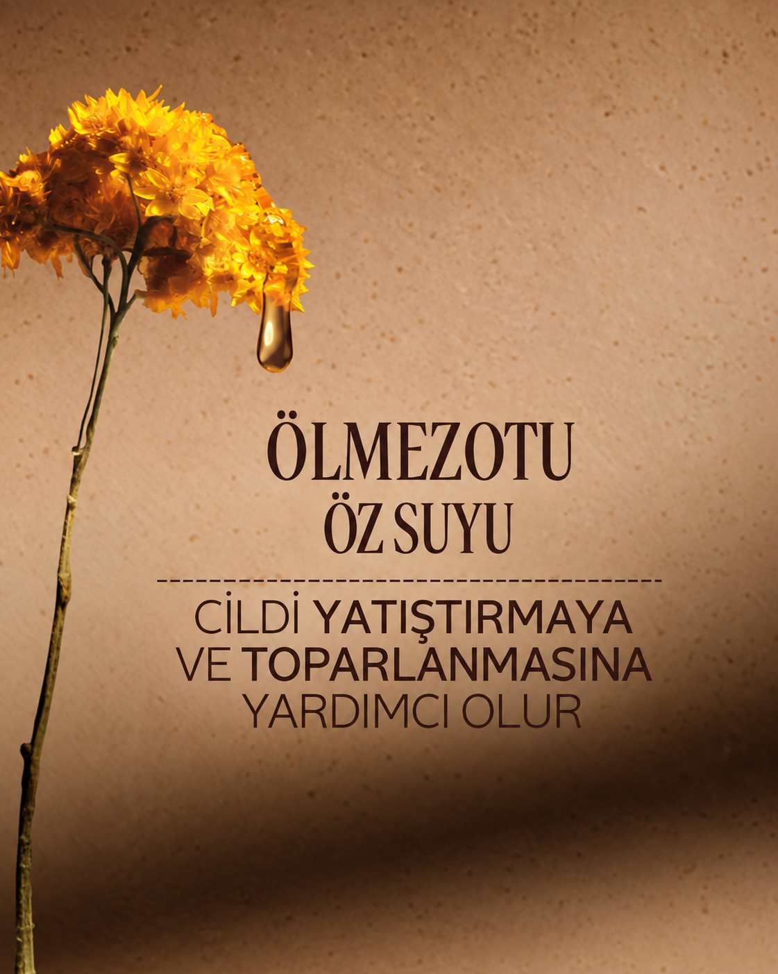 Seyahat Boy Immortelle Reset 3 Fazlı Losyon