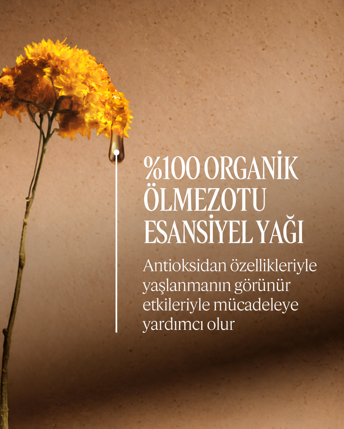 Immortelle Divine Yaşlanma Karşıtı El Kremi