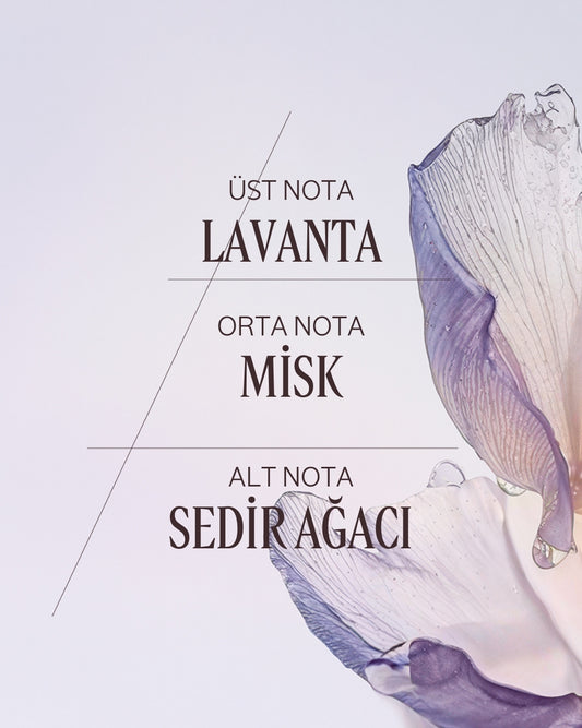 Lavander Blanche Eau De Toilette - Beyaz Lavanta EDT Parfüm