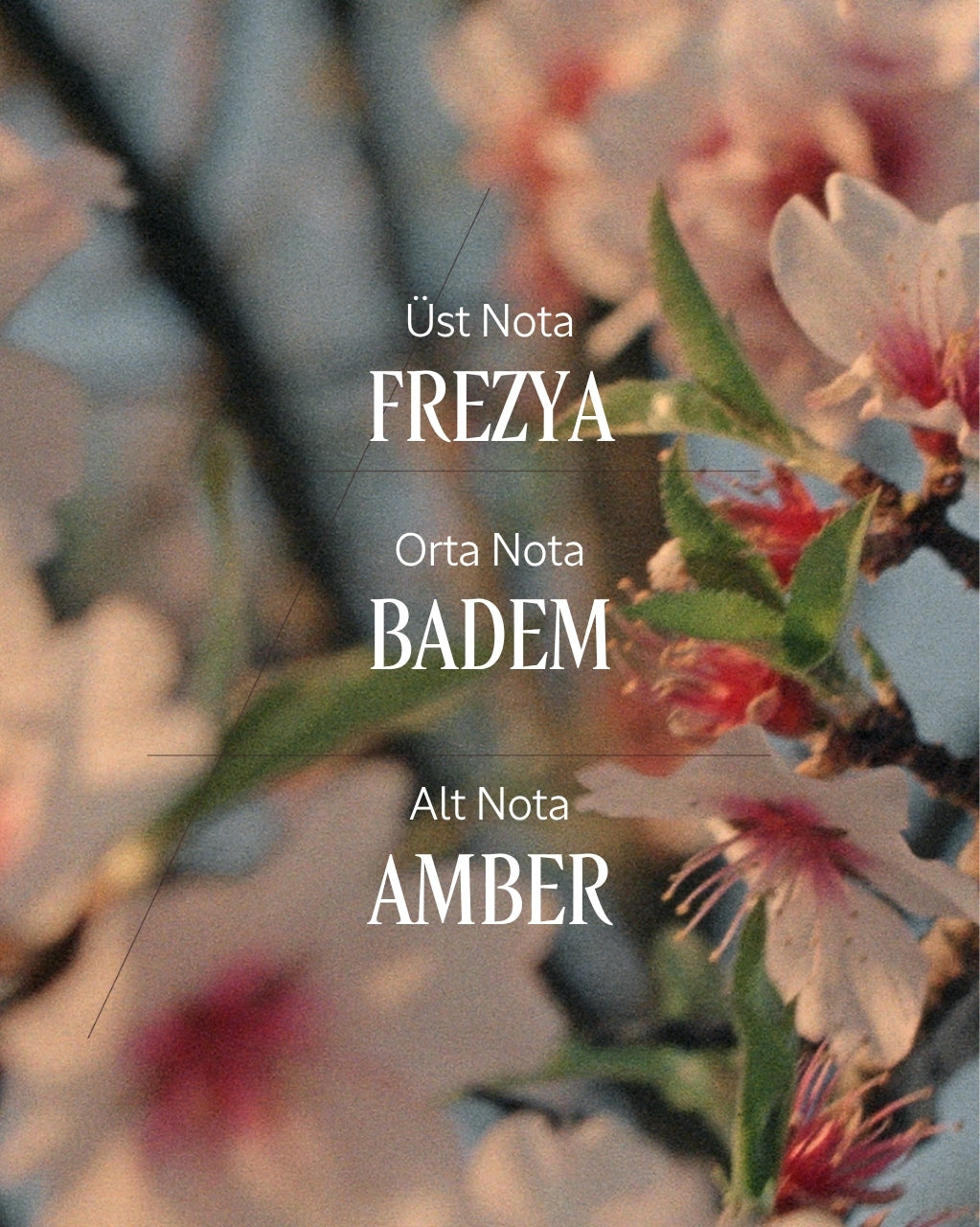 Almond Hair & Body Mist - Badem Saç & Vücut Misti