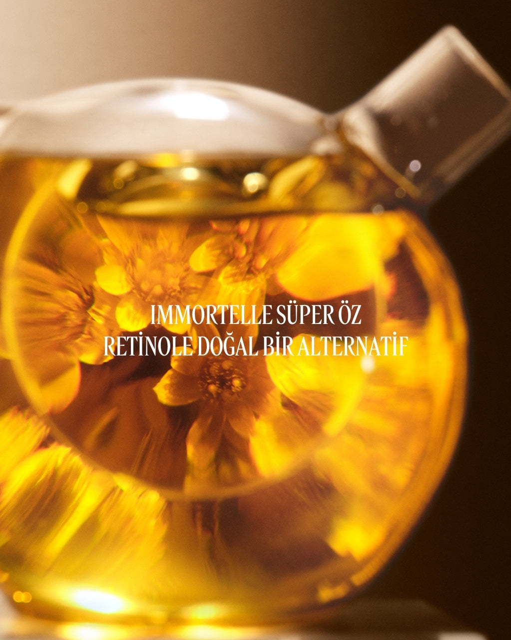 Immortelle Divine Cream - Immortelle Divine Krem