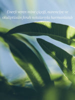 Shea Verbena Liquid Soap - Shea Verbena Sıvı Sabun