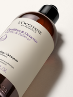 Gentle & Balance Shampoo - Dengeleyici Şampuan