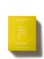 Osmanthus Candle - Osmanthus Mum
