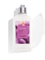 Wisteria Body Lotion - Mor Salkım Vücut Losyonu